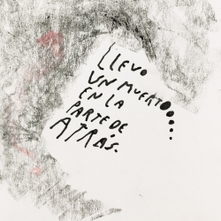 http://www.nunezdelarco.com/files/gimgs/th-49_AGOSTO 26 - llevo un muerto.jpg